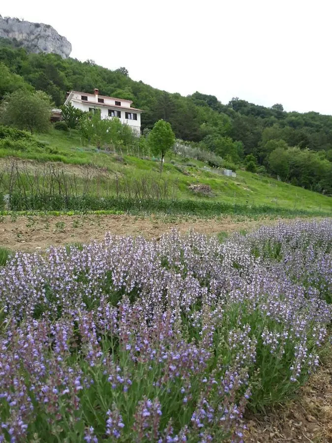 Apartment Finderli Buzet