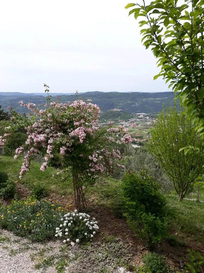 Apartment Finderli Buzet Prázdninový dům